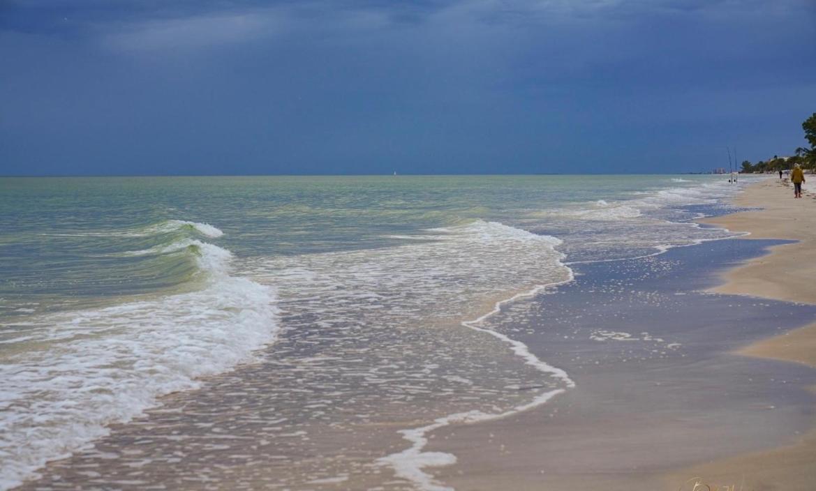 Guest Suite - Waterfront -Pool & Hot Tub- Walk To Beach Clearwater Beach Buitenkant foto